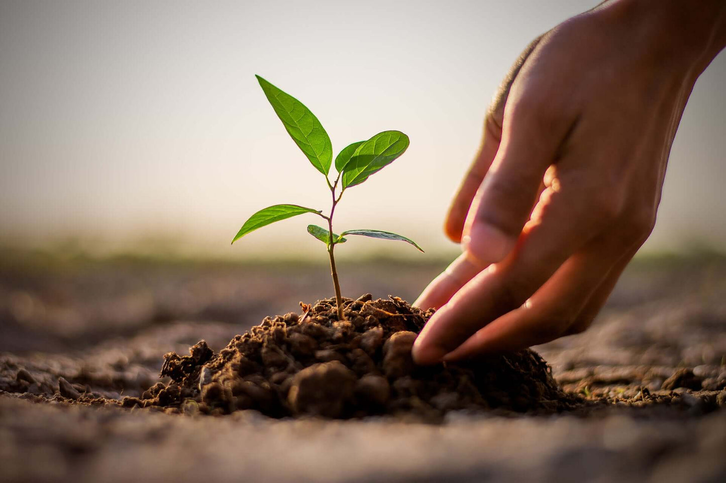 Vitalkraft Produkte helfen dir - Wir helfen der Natur!